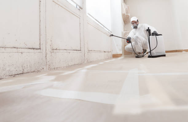 24/7 Emergency Mold Removal experts in Billerica, MA