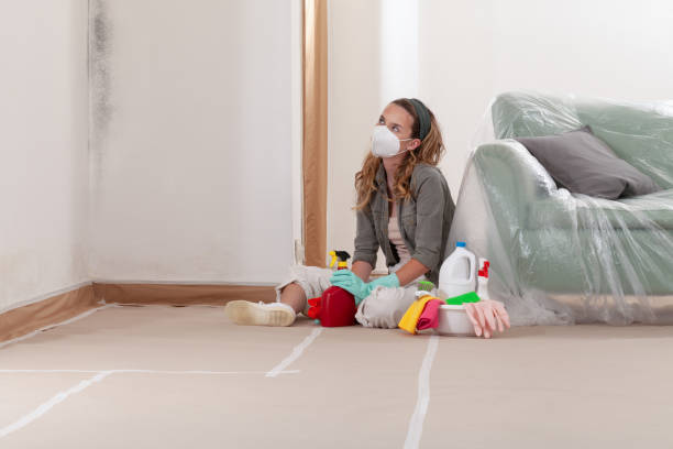 Reliable Mold Removal contractor in Billerica, MA by Car Mold Remediation