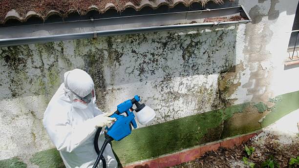 Top rated local Mold Removal specialists in Billerica, MA